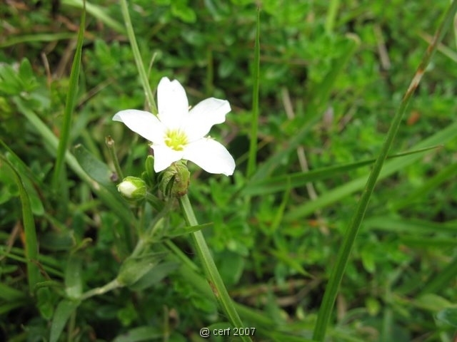 2007 05 Séjour en Brenne 050